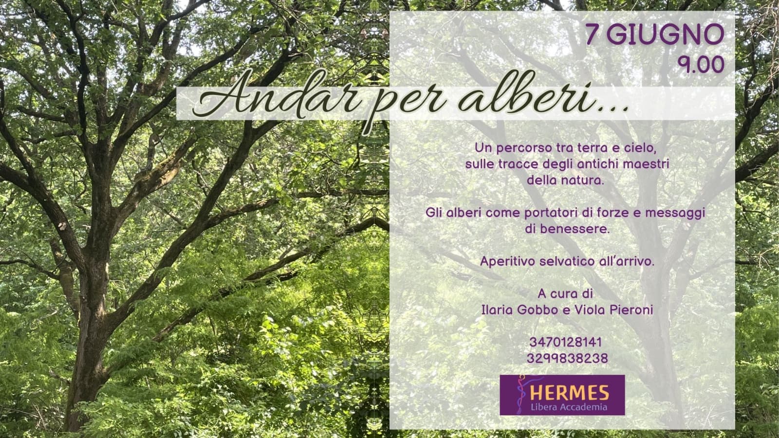 alberi FB