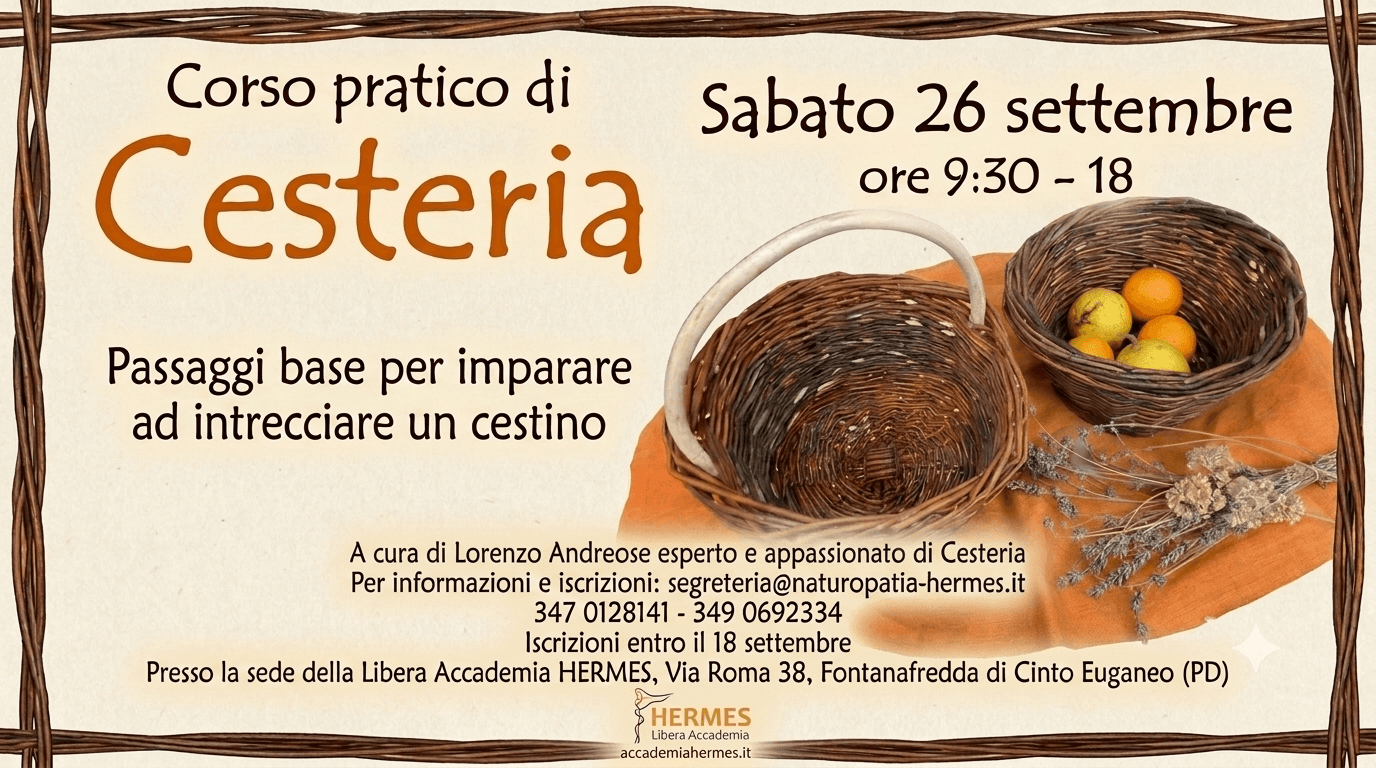Diapositiva1