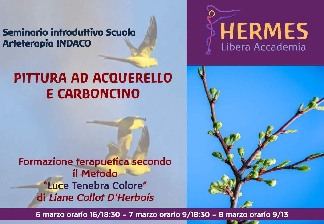 Seminario introduttivo FB